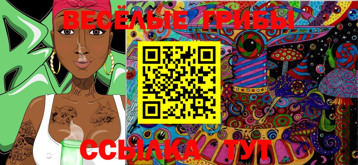 Псилоцибиновые грибы MAGIC MUSHROOMS  Вход с VPN  Избербаш 